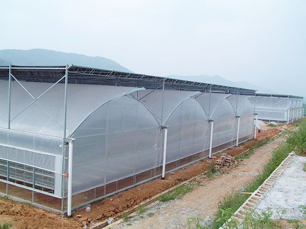 溫室建造